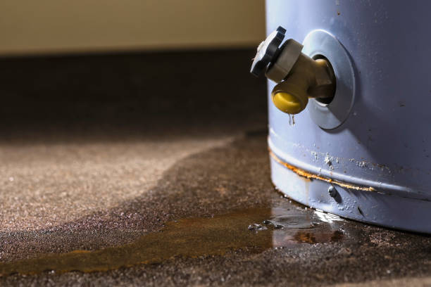 Best Mold removal after water damage  in Arlington, WA