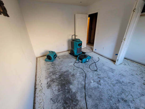 Arlington, WA Water damage restoration Company