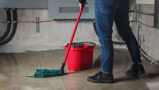 Best Carpet water damage restoration  in Arlington, WA
