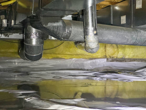 Best Water damage restoration near me  in Arlington, WA