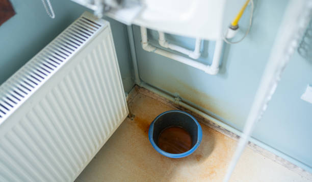 Best Water damage cleanup near me  in Arlington, WA