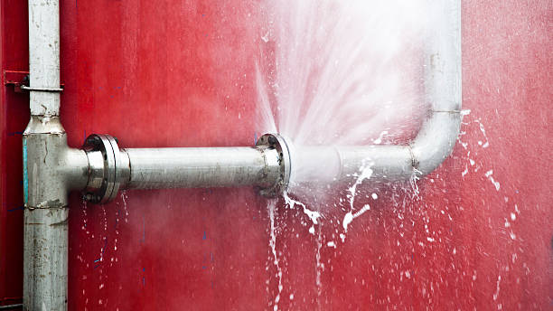 Best Ceiling water damage repair  in Arlington, WA